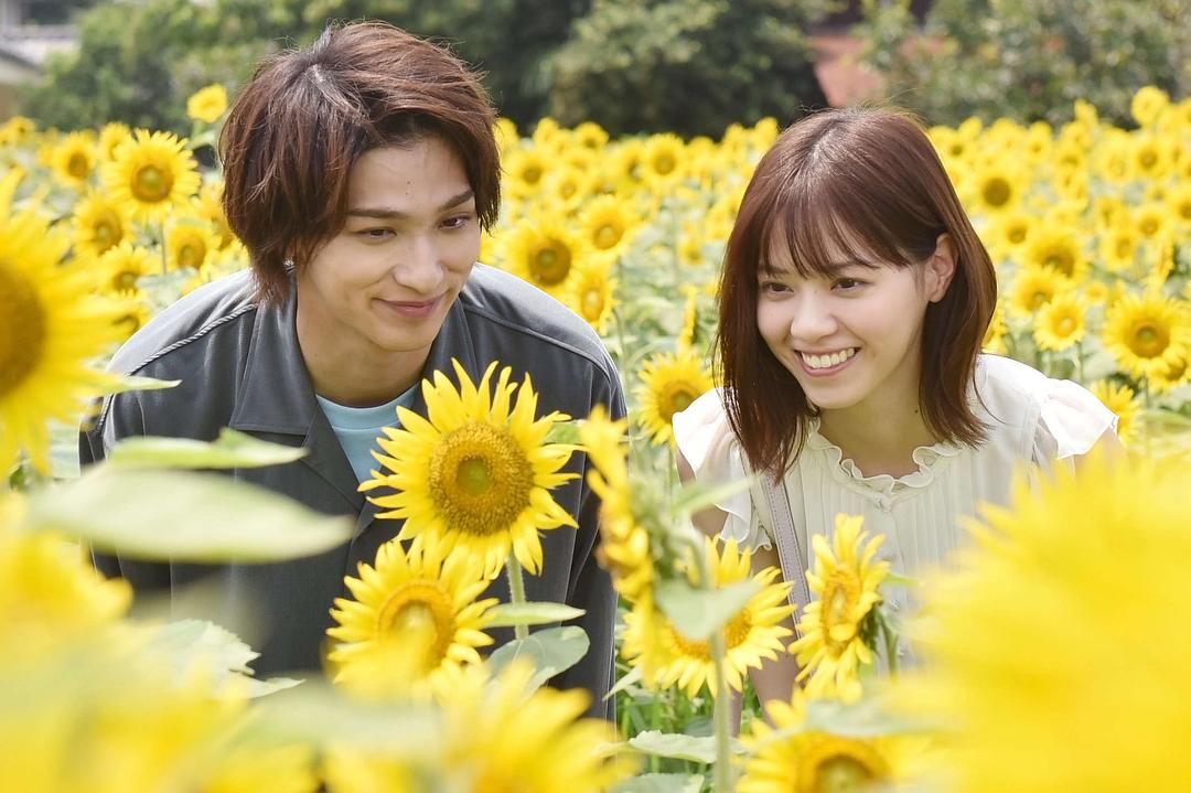 《轮到你了》剧照第33张图片