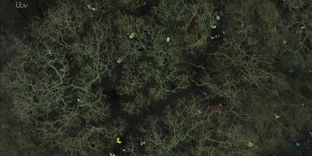 《坦白》剧照第36张图片