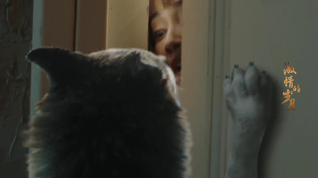 《激情的岁月》剧照第31张图片