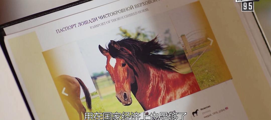 《人民公仆2》海报第44张图片