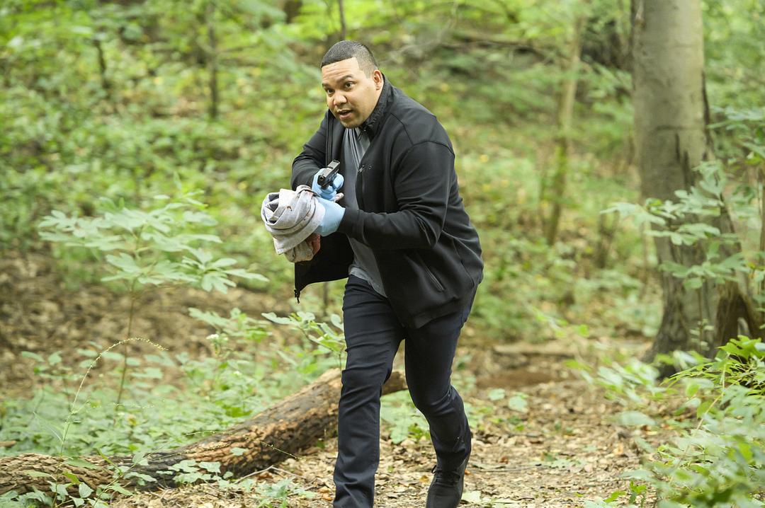 《浪子神探》海报第42张图片