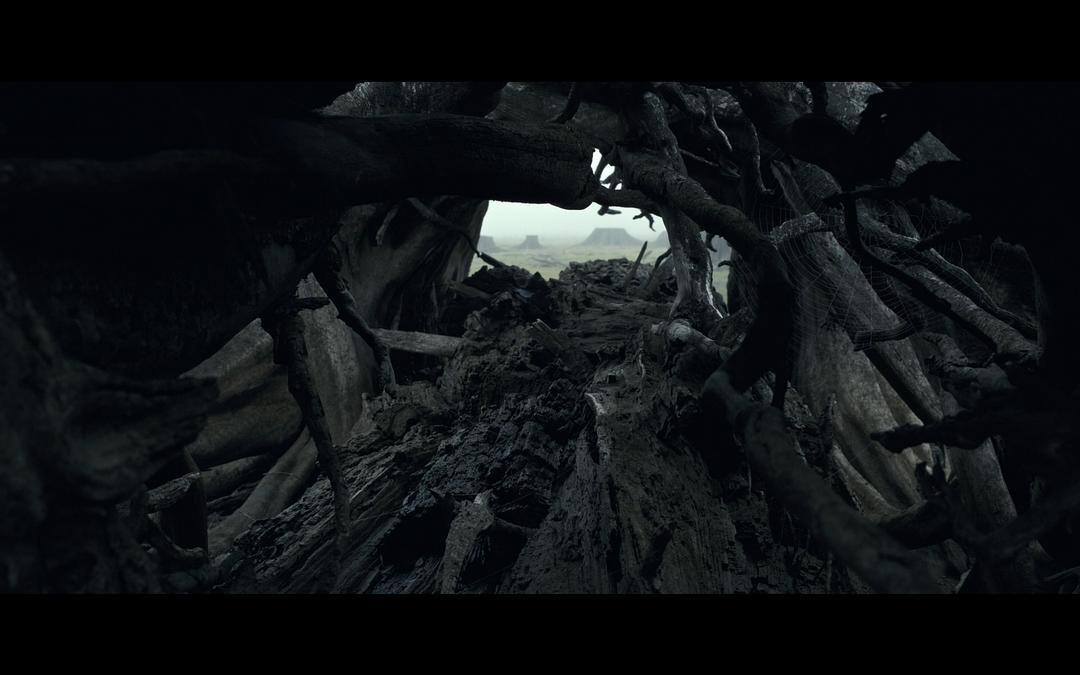 《看见第一季》剧照第17张图片