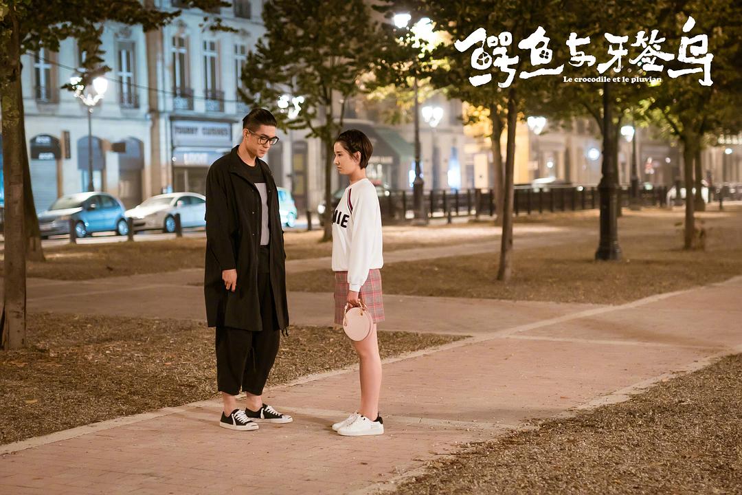 《鳄鱼与牙签鸟》海报