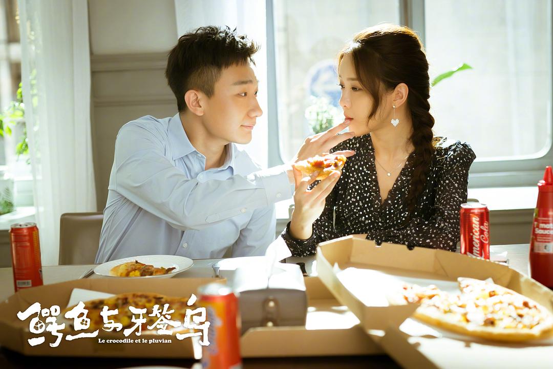 《鳄鱼与牙签鸟》海报