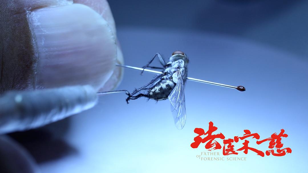 《法医宋慈》剧照第20张图片