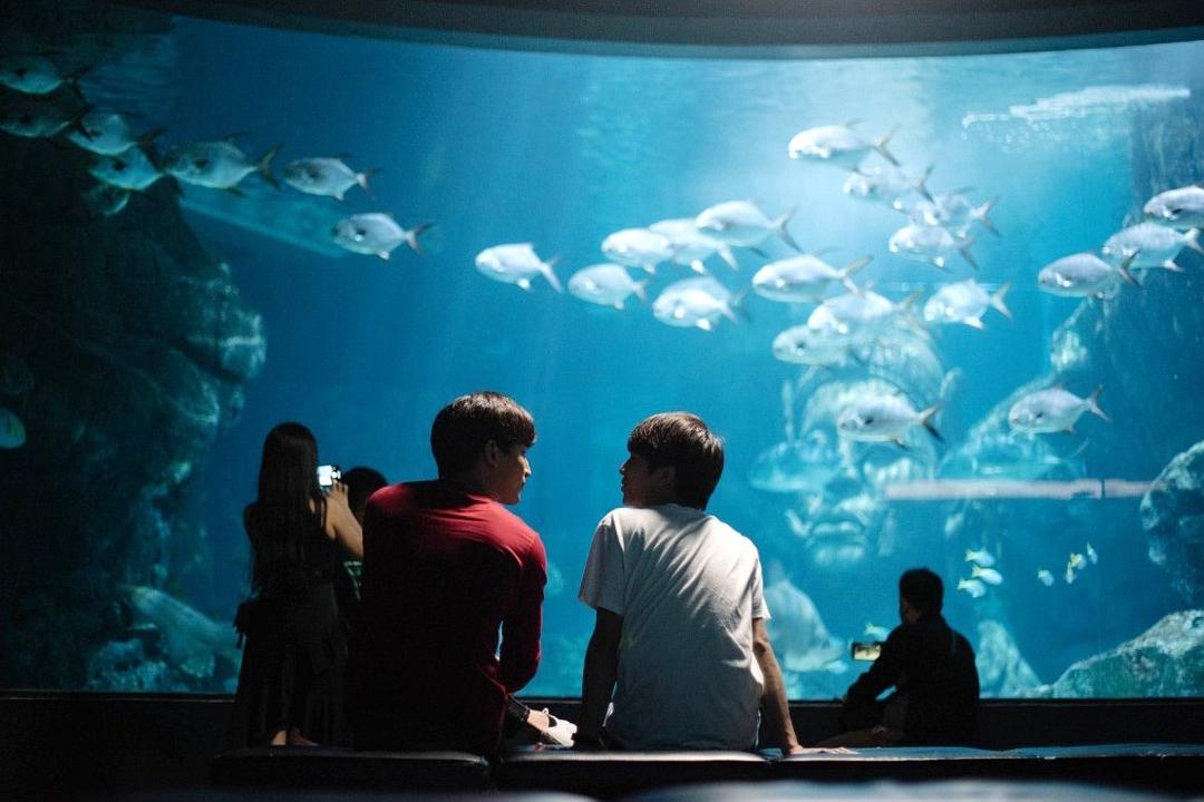 《待到重逢时》剧照