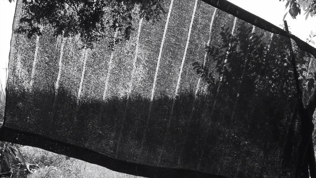 《大佛普拉斯》剧照第60张图片