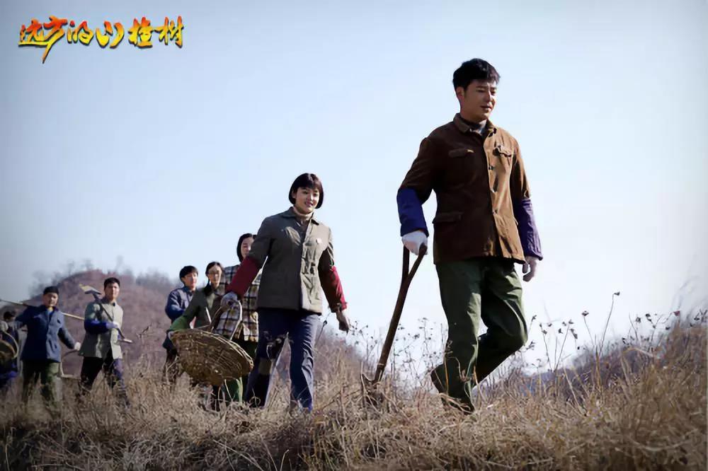 《远方的山楂树》海报第17张图片