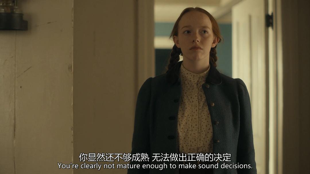 《小小安妮第三季》海报第54张图片