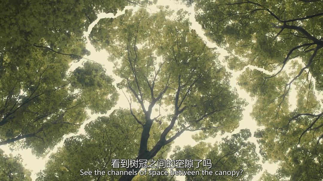 《小小安妮第三季》海报第48张图片