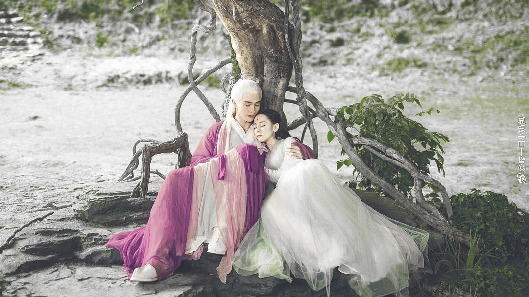 我的凤九和东华！