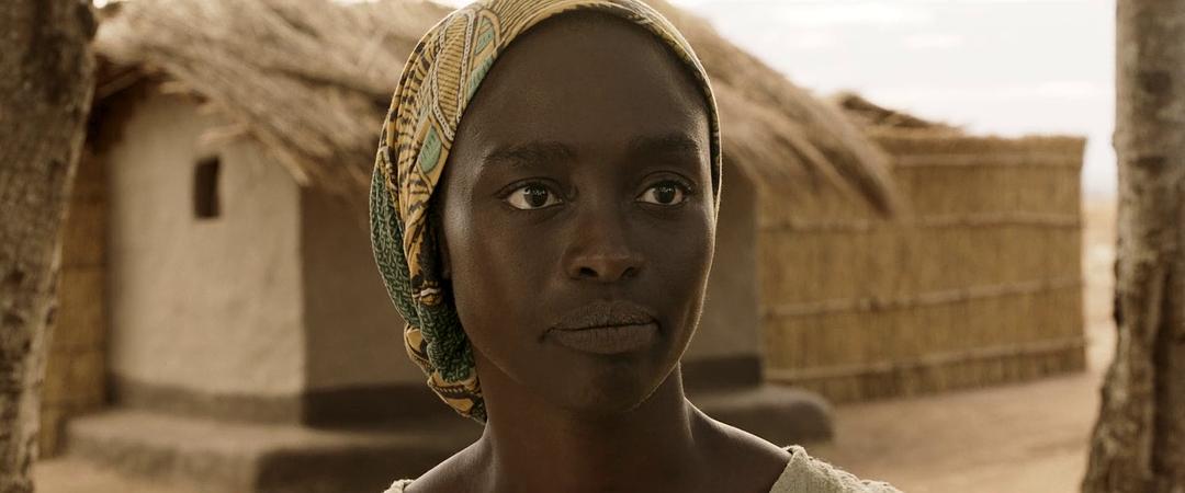 《驭风男孩》海报第16张图片