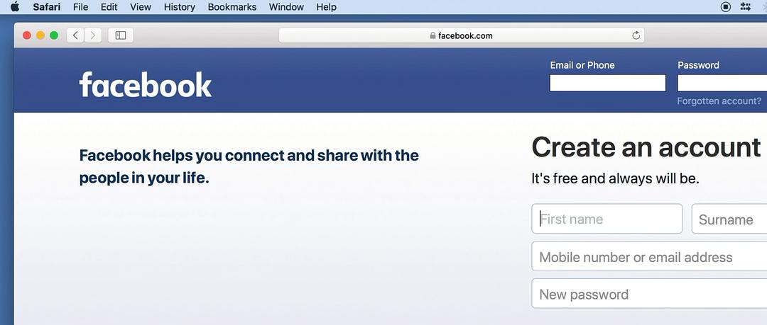 《别惹猫咪：追捕虐猫者》海报第7张图片