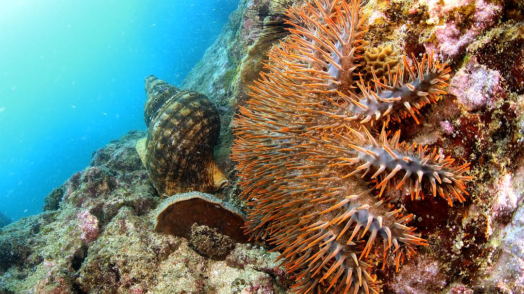 《蔚蓝之境》剧照