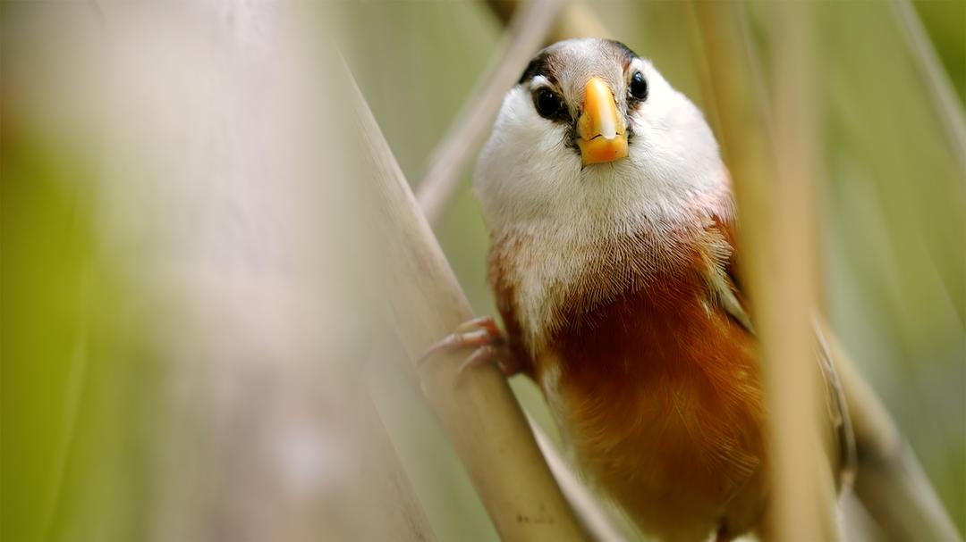 《蔚蓝之境》剧照