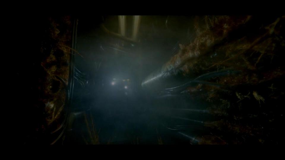 截图画质不好但依然...