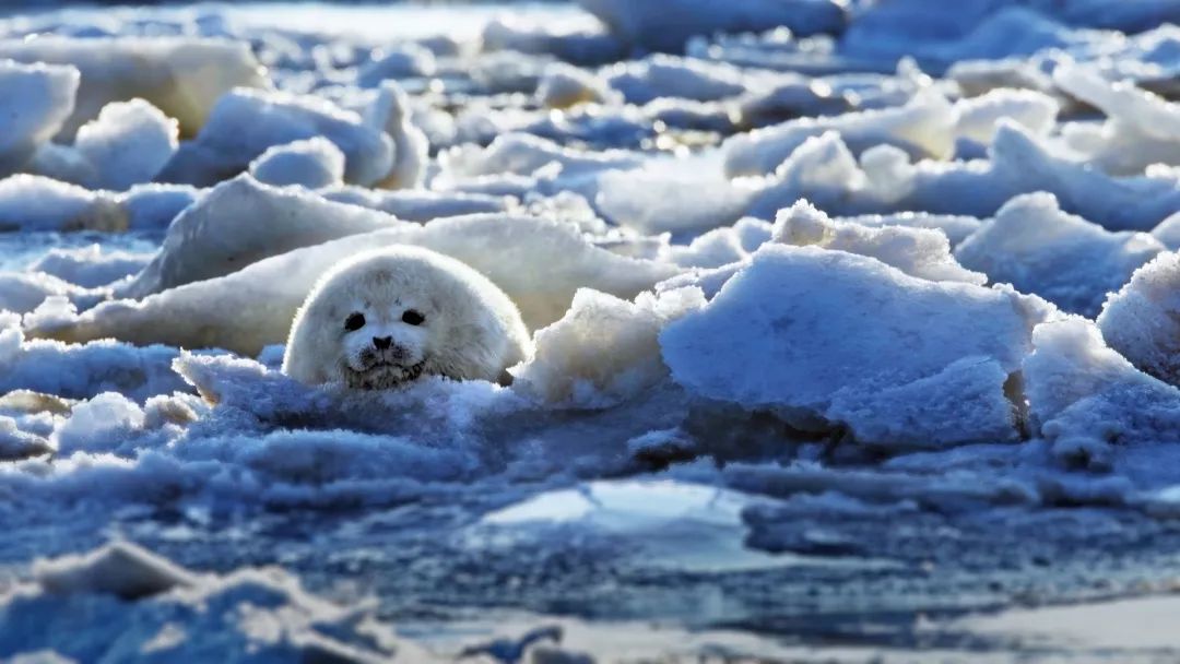 《蔚蓝之境》剧照