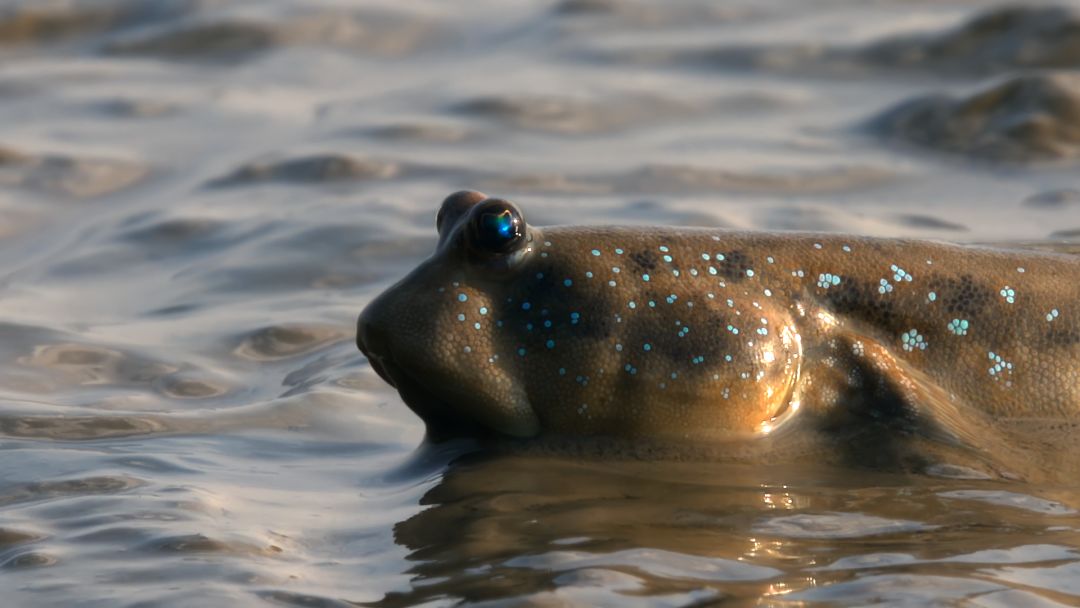 《蔚蓝之境》剧照