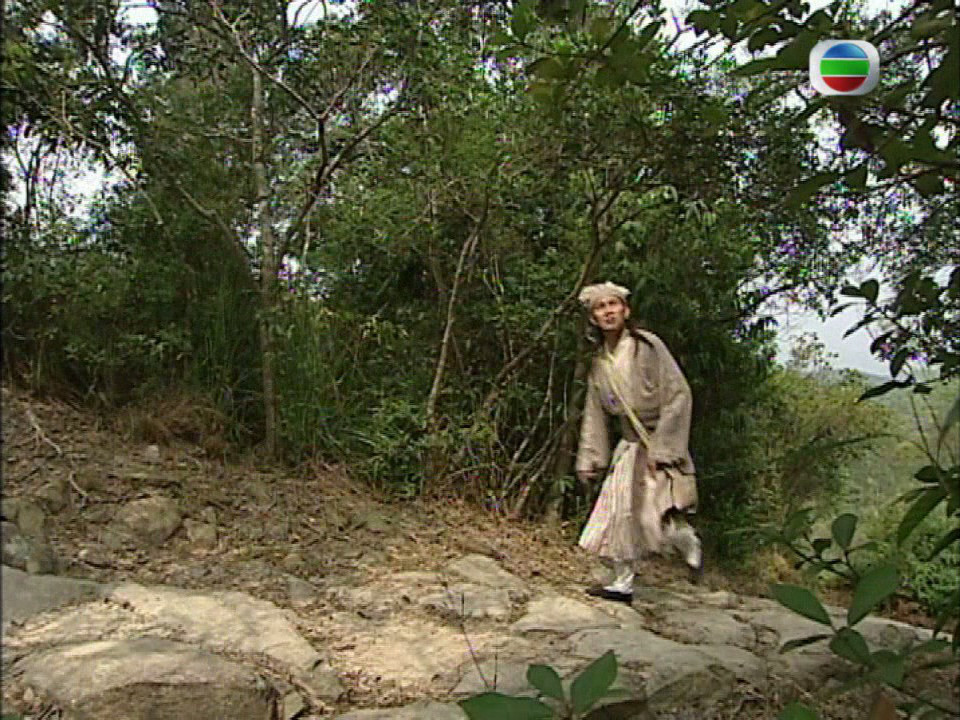 《本草药王》海报第46张图片