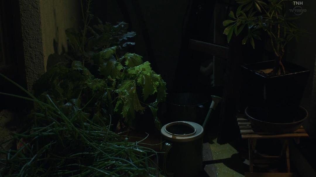 《一人露营》海报第32张图片