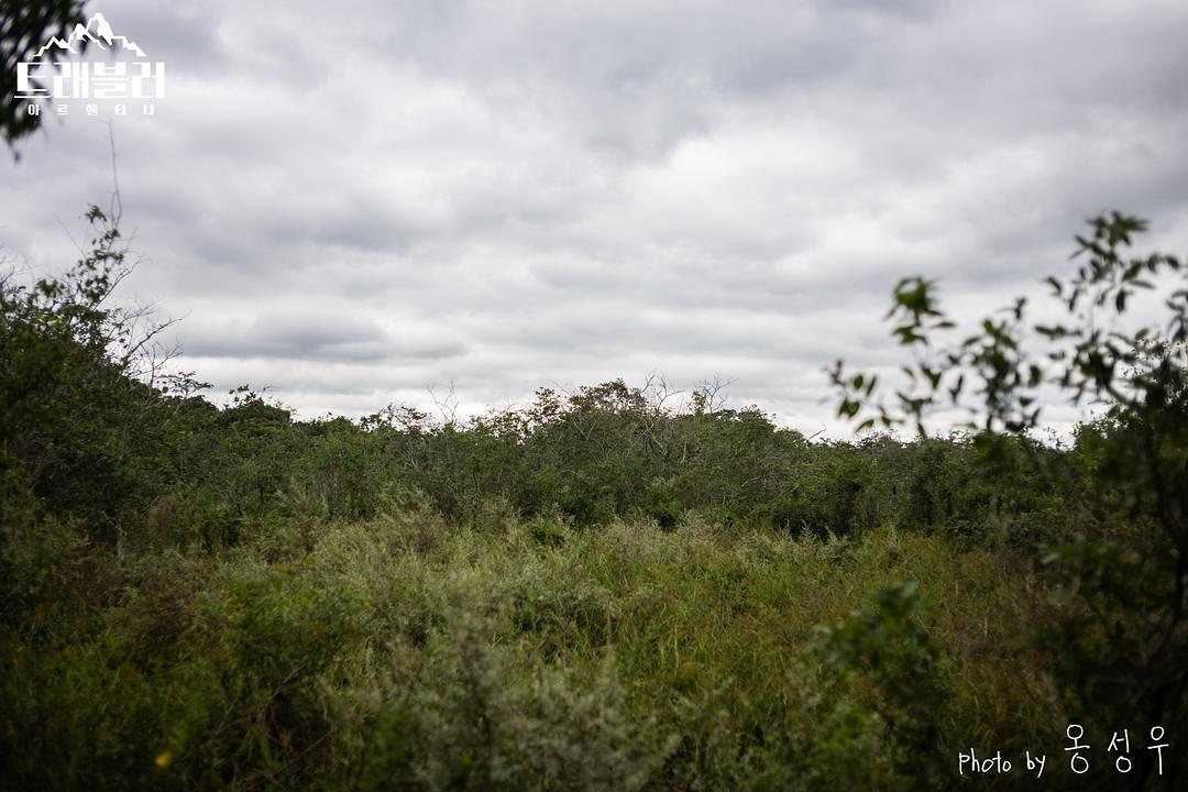 《旅行者第二季》剧照第18张图片