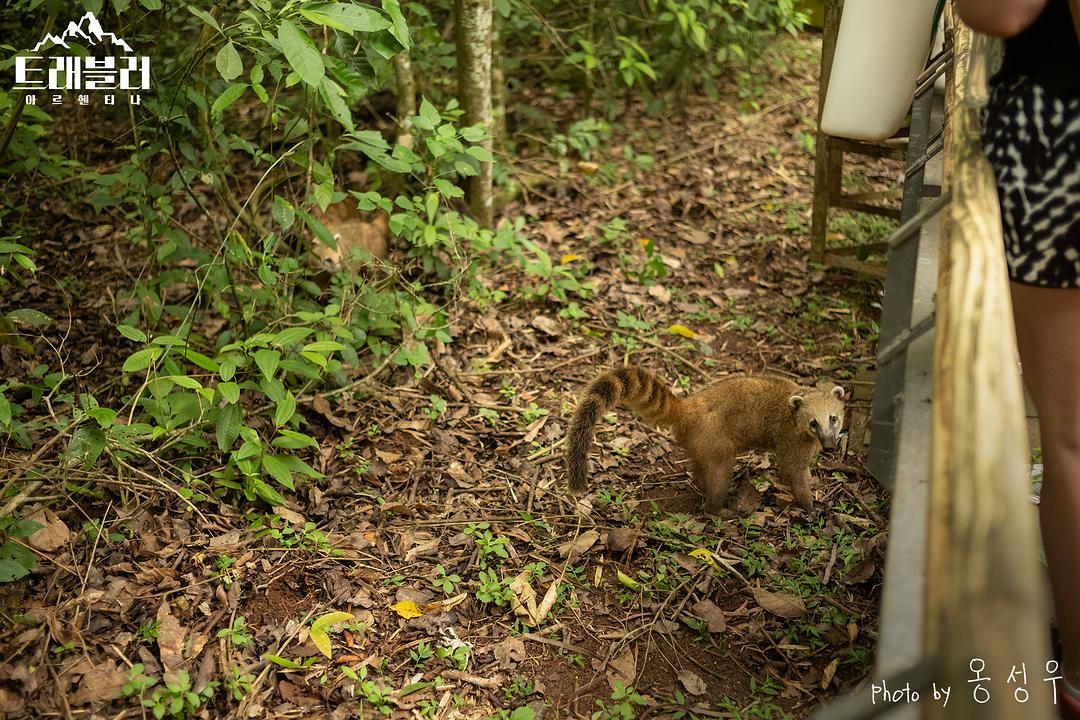 《旅行者第二季》剧照第17张图片