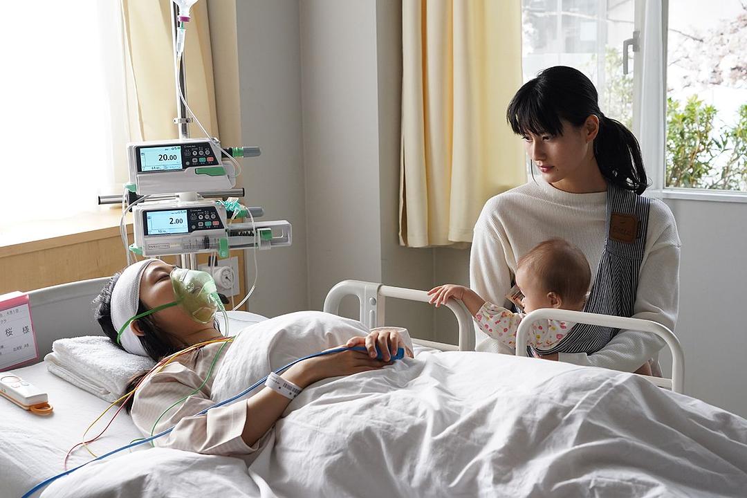 《同期的小樱》剧照