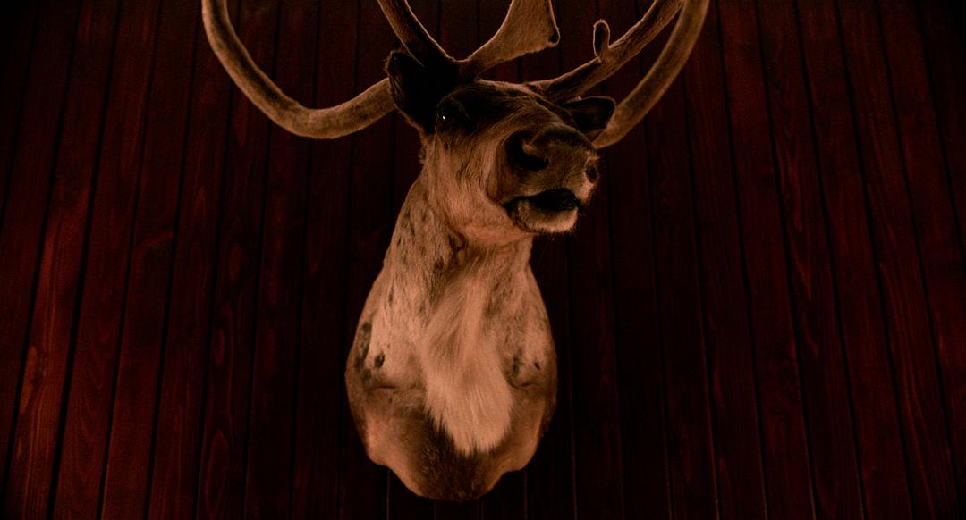 《非我所愿》海报第46张图片