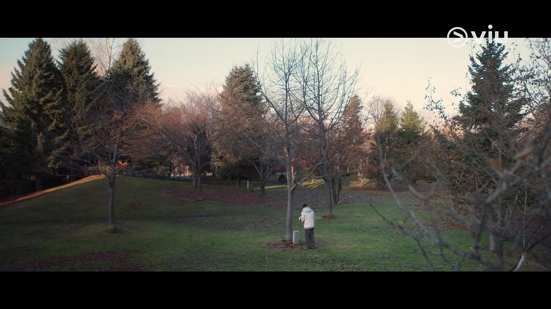 《二月二十九》海报第40张图片