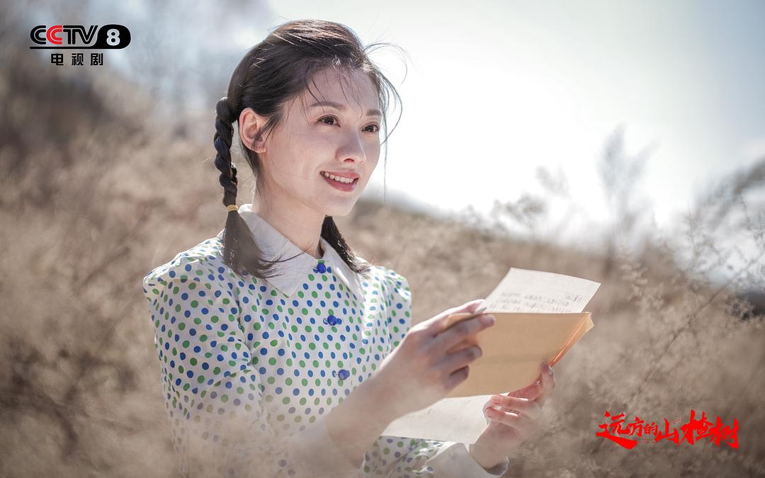 《远方的山楂树》海报