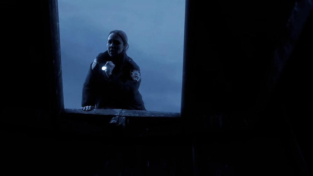 《神探林肯:人骨拼图》剧照