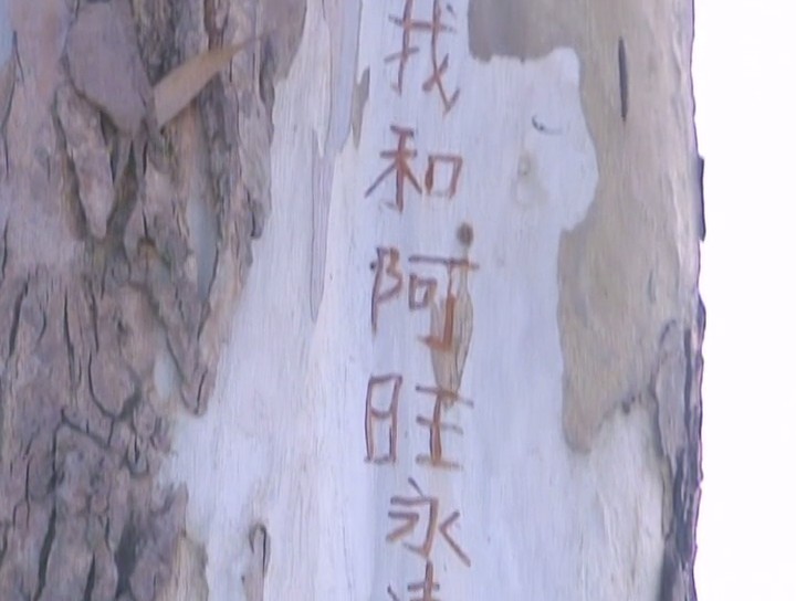 《阿旺新传》剧照