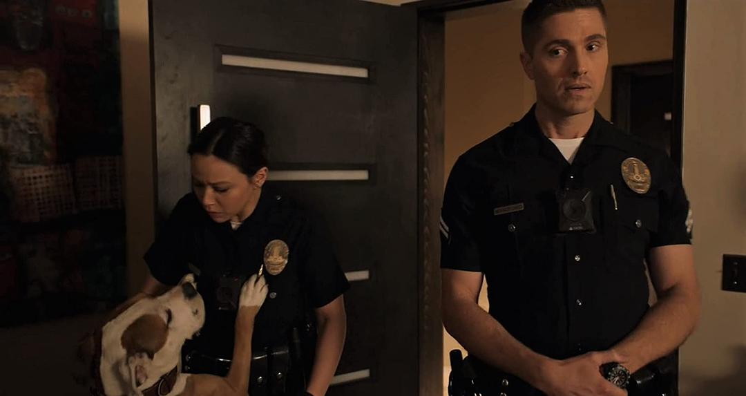 《菜鸟老警第二季》海报第51张图片