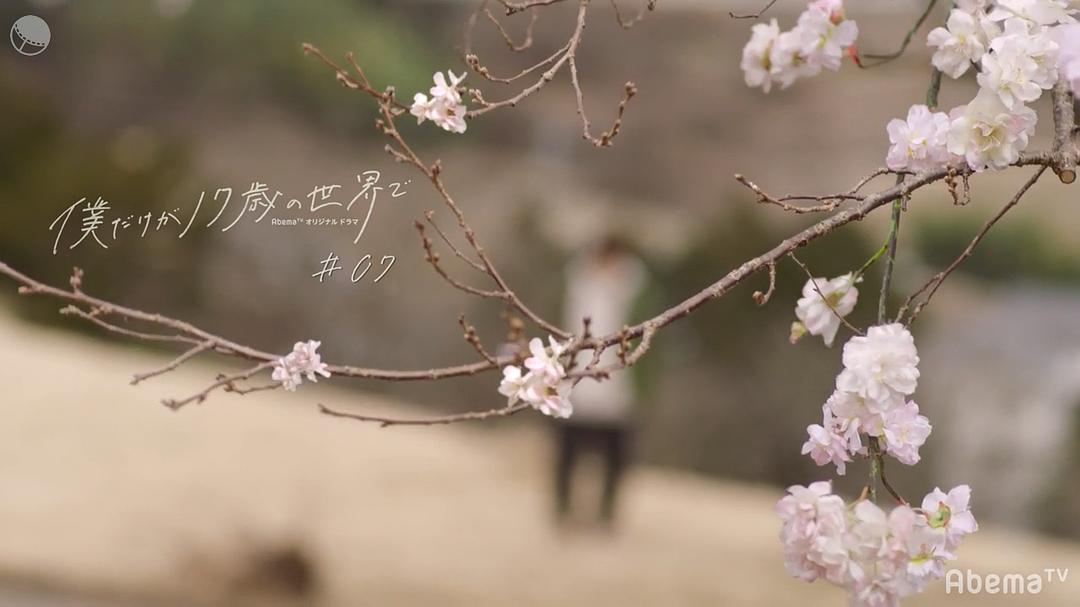 《只有我是17岁的世界》剧照第41张图片