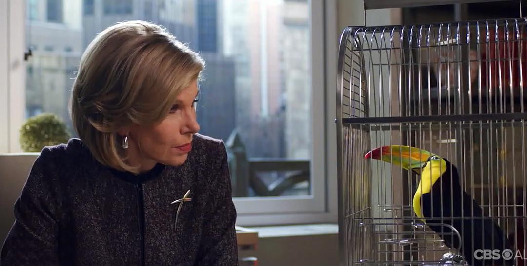 《傲骨之战第四季》剧照第23张图片