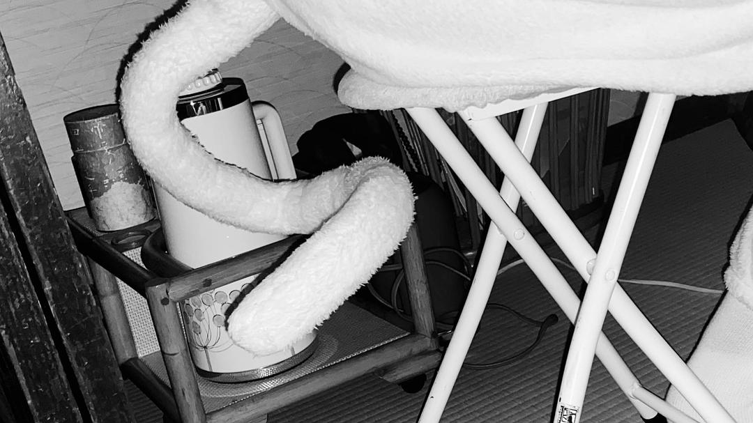 《今日的猫村小姐》海报第39张图片