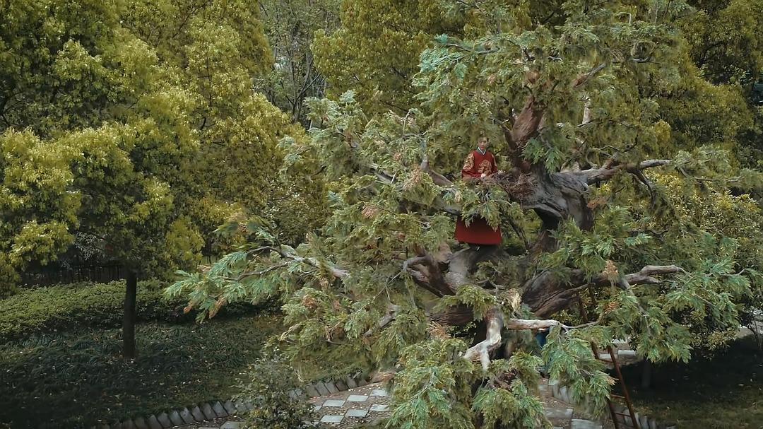 《山河月明》剧照第57张图片