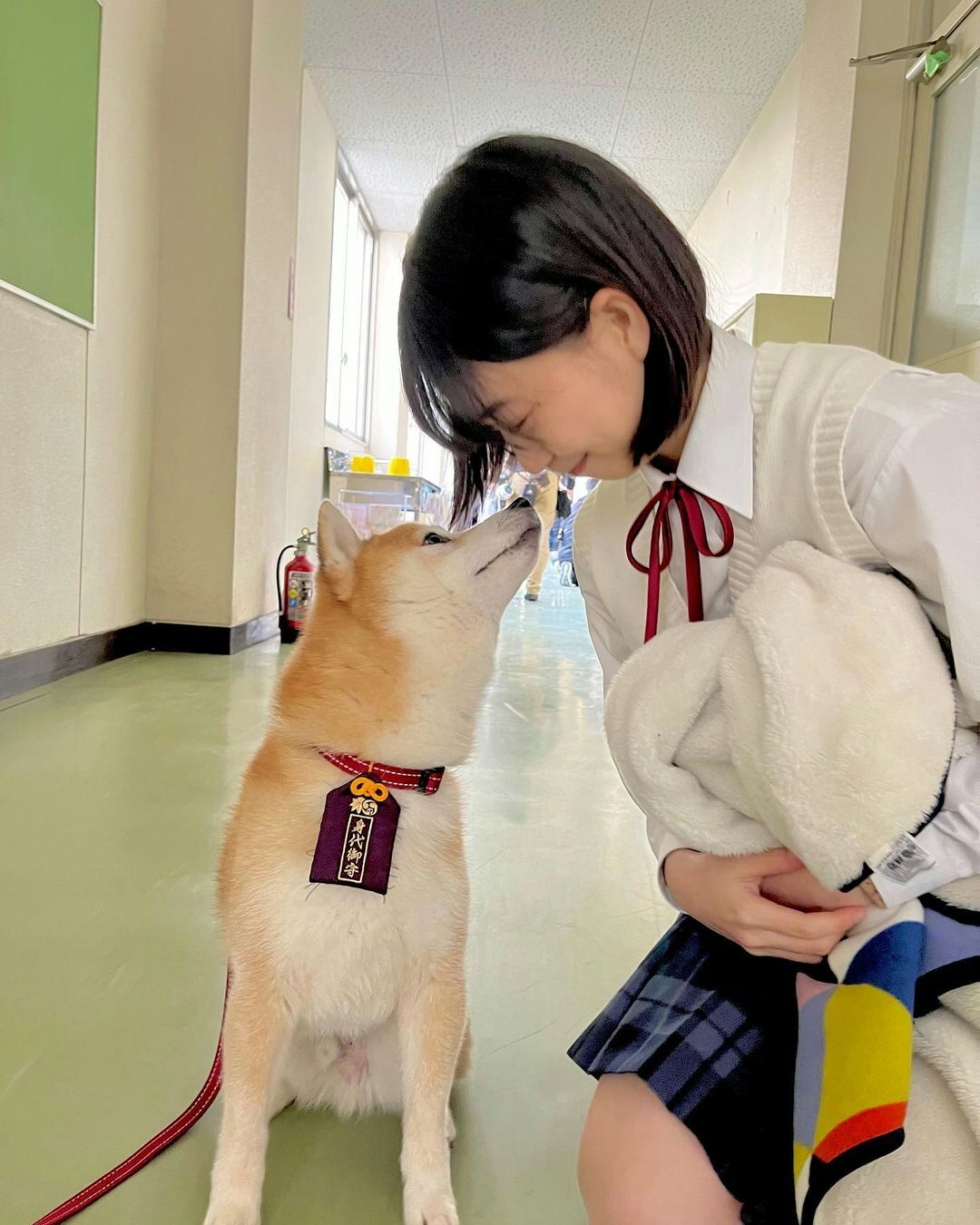 《难破MG5》剧照第31张图片