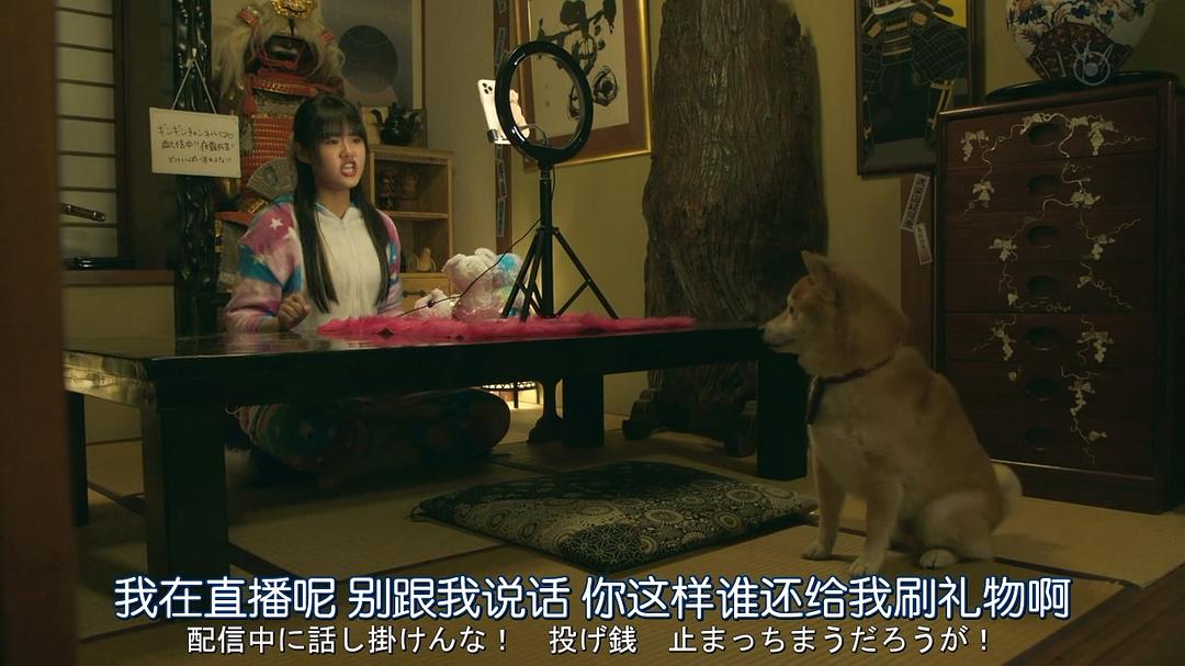 《难破MG5》剧照第25张图片