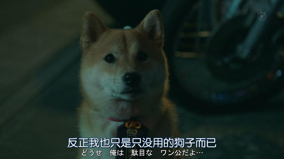 《难破MG5》剧照第21张图片