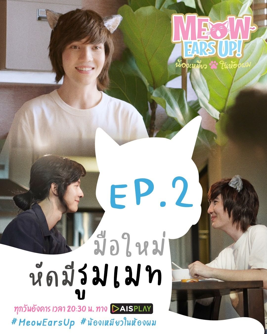 《好久不见啊喵》剧照第12张图片