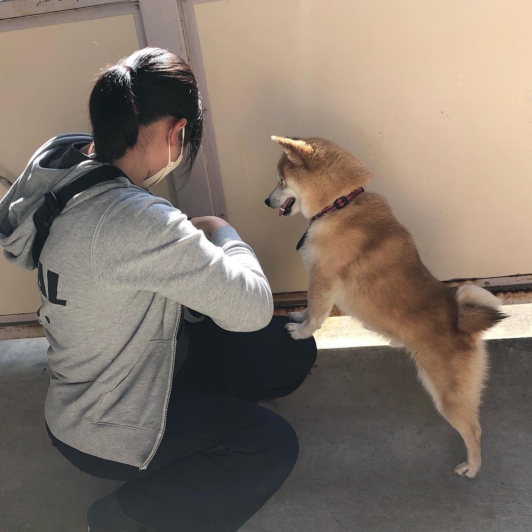 《难破MG5》剧照第48张图片