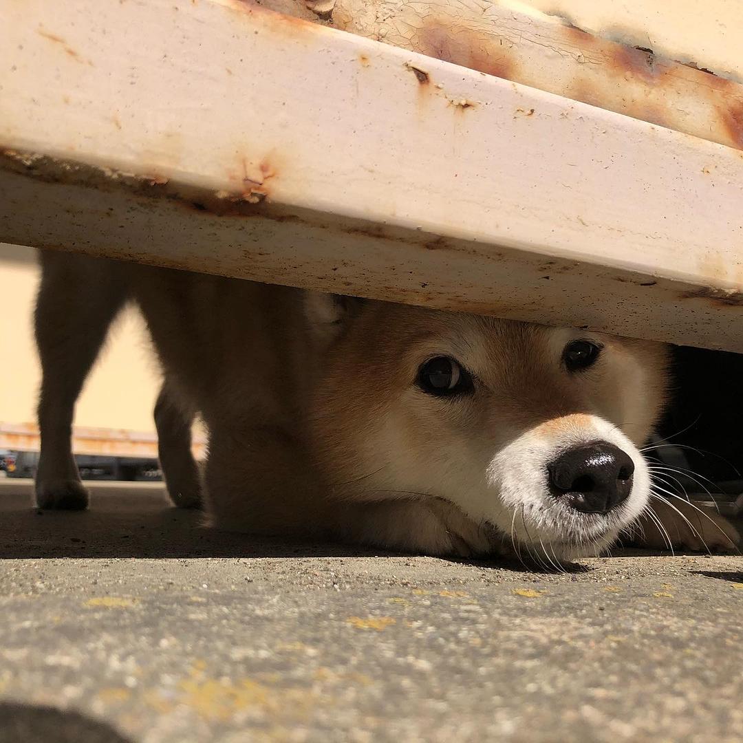 《难破MG5》剧照第47张图片