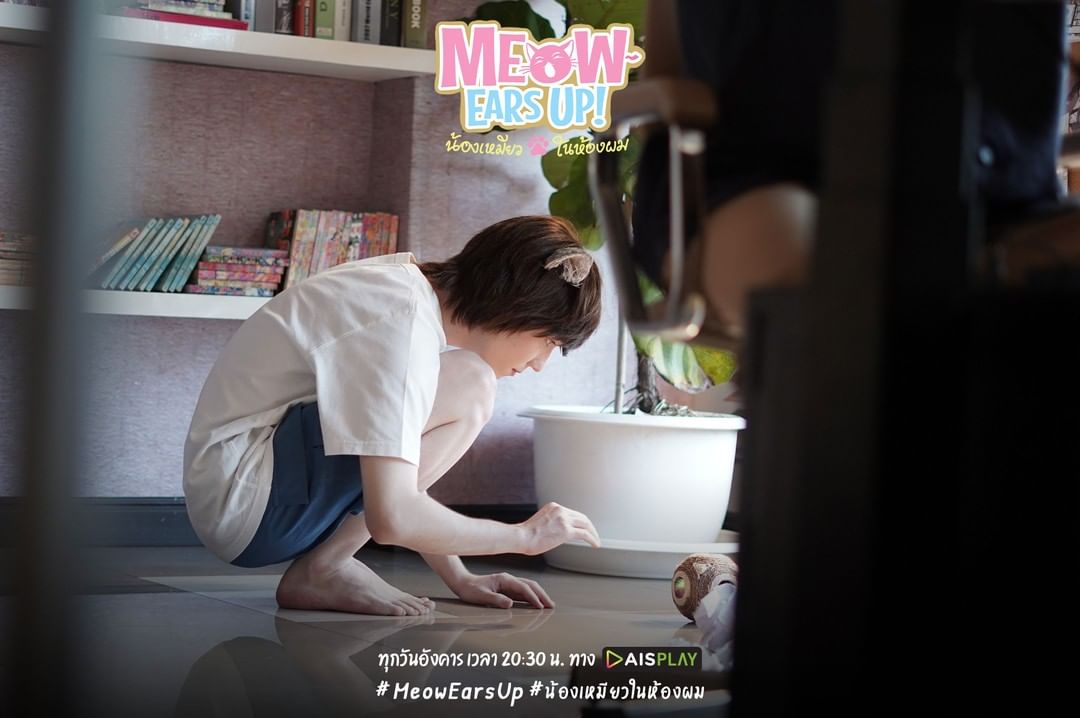 《好久不见啊喵》剧照