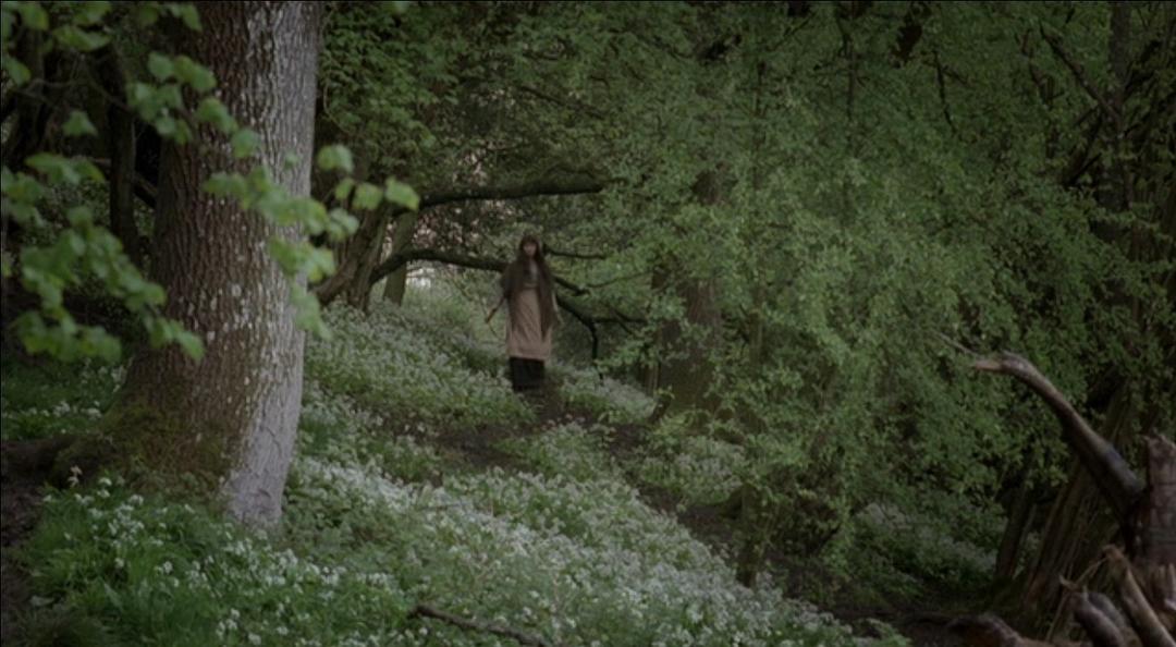 《德伯家的苔丝》剧照第55张图片