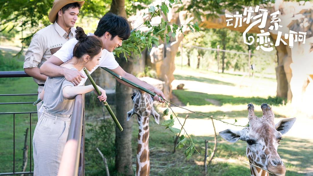 《动物系恋人啊》剧照第19张图片 《动物系恋人啊》剧照第19张图片