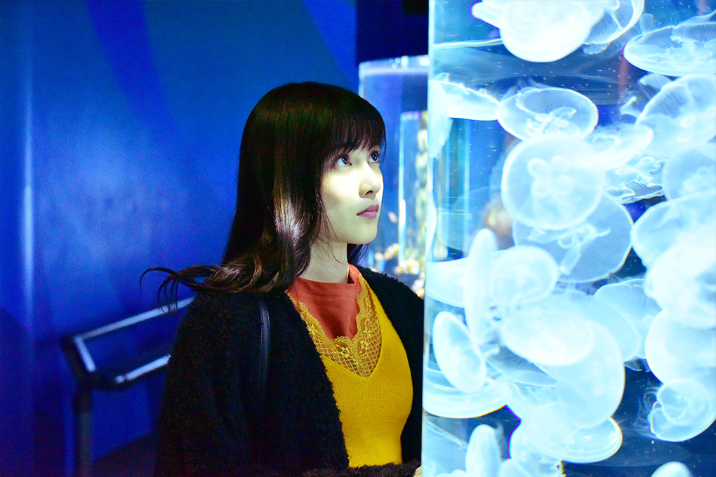 《花予野兽第一季》海报