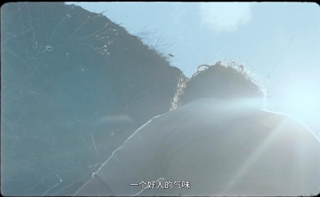 《幸福的拉扎罗》剧照第33张图片 《幸福的拉扎罗》剧照第33张图片