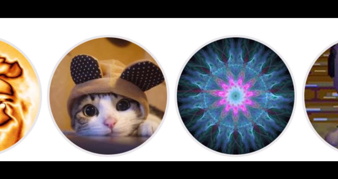 《别惹猫咪:追捕虐猫者》海报