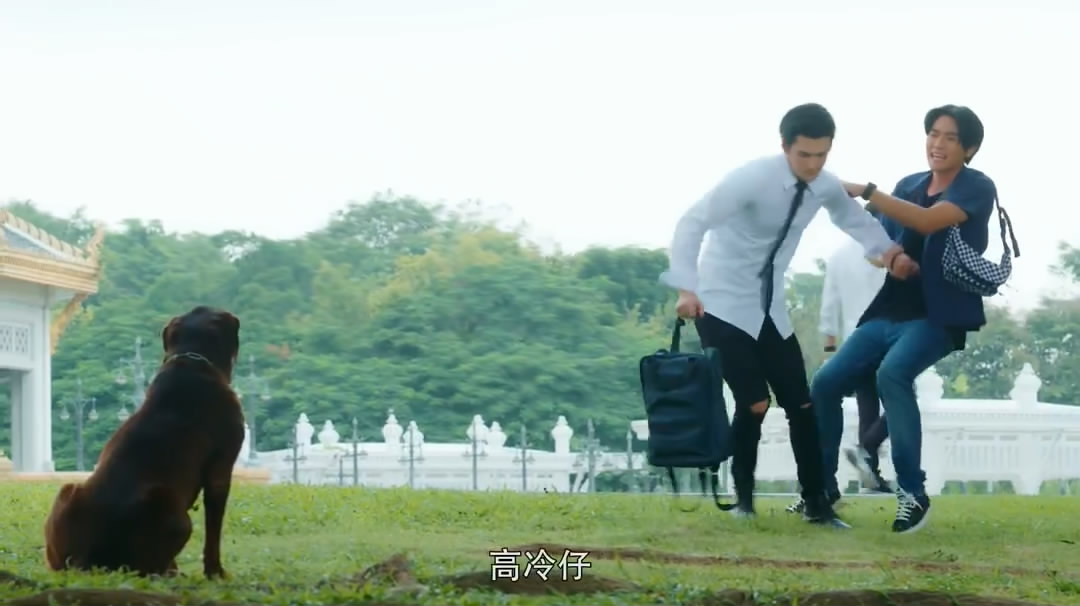 《程心程意》剧照第22张图片 《程心程意》剧照第22张图片